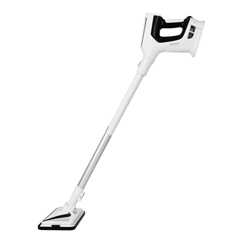 SteamFlex Duo Floor and Hand Steam Cleaner