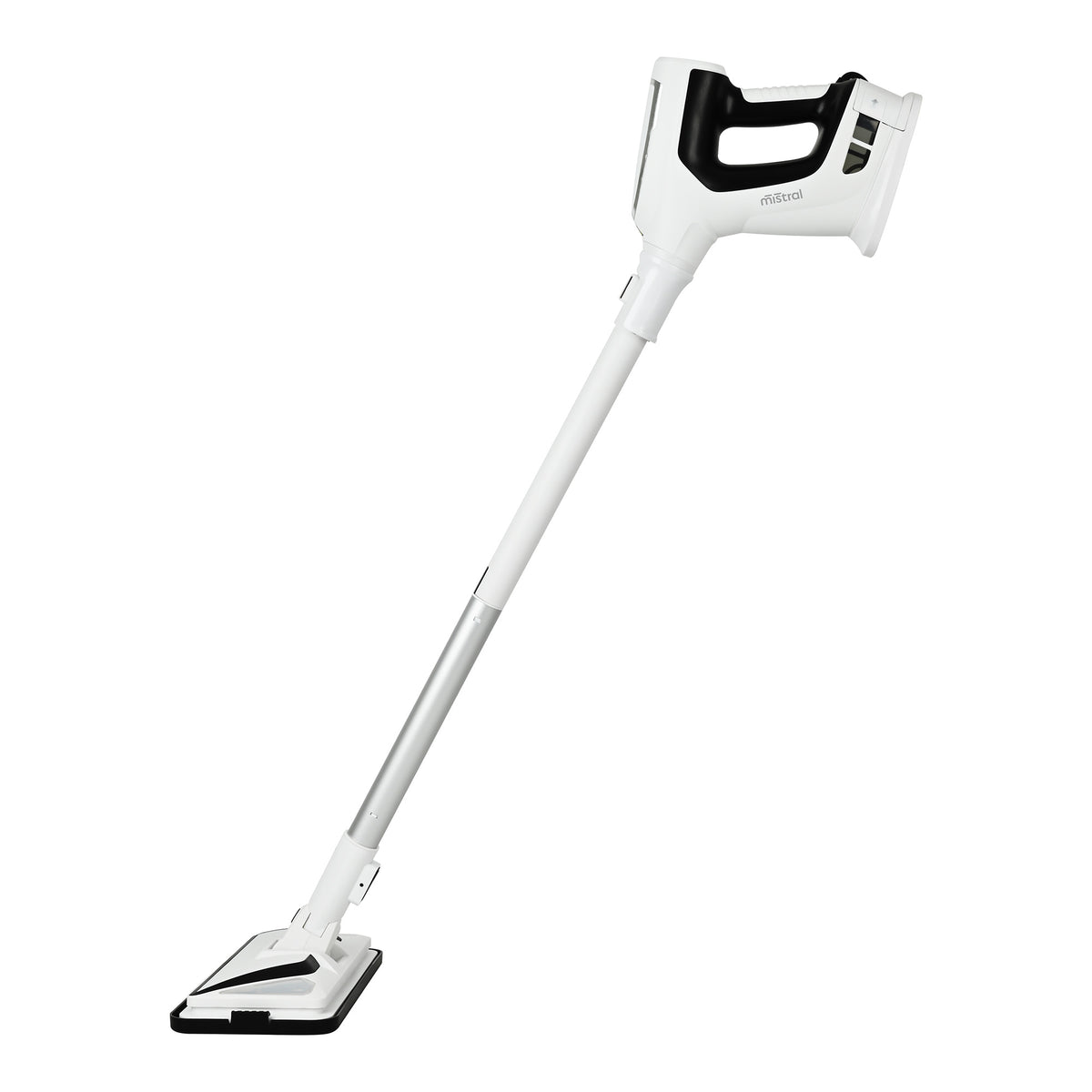 SteamFlex Duo Floor and Hand Steam Cleaner