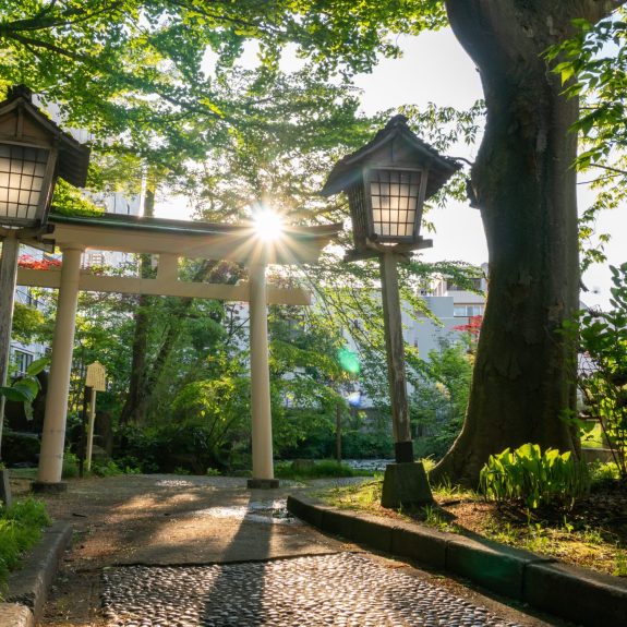 Solar-Lighting-Tips-and-Tricks-scaled